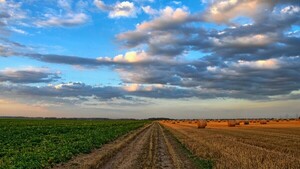 Para la ONU, prácticas sostenibles atenúan efectos de la agricultura sobre medioambiente