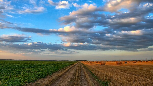 Para la ONU, prácticas sostenibles atenúan efectos de la agricultura sobre medioambiente
