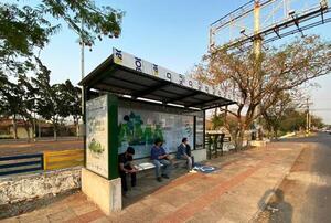 Asunción: MOPC prevé construir 250 paradas de ómnibus - trece