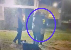 [VIDEO] Camionero agredió a puñetazos a caminera que le solicitó realizarse la prueba de ka'utest