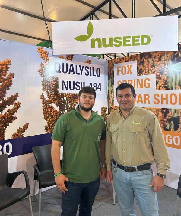Híbridos de sorgo de Nuseed tuvieron buen desempeño en año difícil
