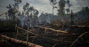 La Nación / Brasil sufre el rigor del clima: tras las inundaciones, ahora anuncian sequía “severa”