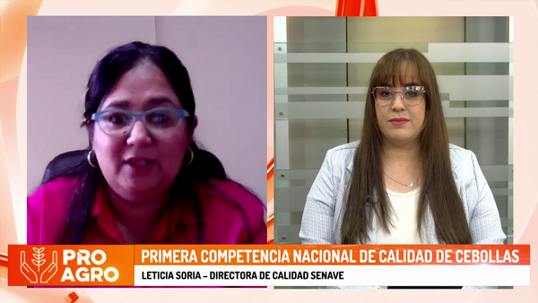 Primera Competencia Nacional de calidad de cebollas - Megacadena - Diario Digital