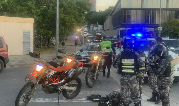 Un poli lince terminó lesionado tras un accidente en la Costanera