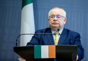 La ultraderecha irrumpe en las elecciones locales y europeas en Irlanda - Mundo - ABC Color
