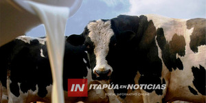 MINISTRO DE AGRICULTURA DESTACA POTENCIAL DEL SECTOR LECHERO EN PARAGUAY - Itapúa Noticias