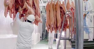 Exportaciones de carne porcina aumentaron 113% en comparación al año pasado - El Independiente