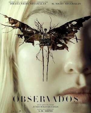 Observados  - Cine y TV - ABC Color