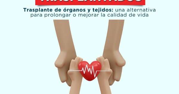 Diario HOY | Día Mundial de los Pacientes Trasplantados: hay 256 personas en lista de espera