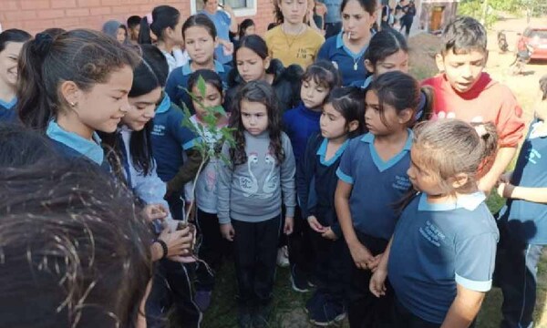 Escuelas en Villarrica recibieron 5.000 plantines para reforestar la ciudad – Prensa 5
