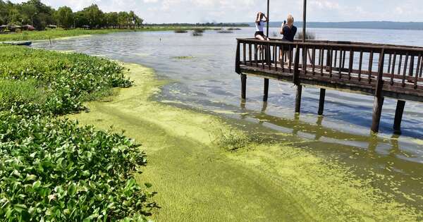 Diario HOY | Presentan programa que buscará revitalizar el lago Ypacaraí