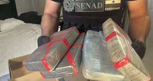 La Nación / En dos allanamientos en Concepción, Senad se incauta de cocaína y marihuana