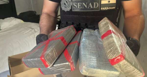 La Nación / En dos allanamientos en Concepción, Senad se incauta de cocaína y marihuana