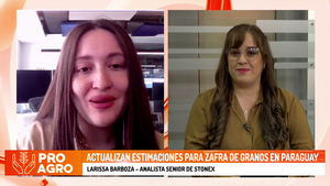 Actualizan estimaciones para zafra de granos en Paraguay - Megacadena - Diario Digital