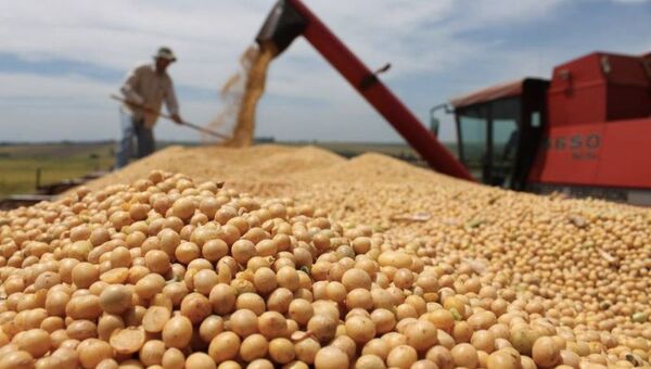 Paraguay cierra crecimiento del 15% en procesamiento de oleaginosas y se encamina a un buen año