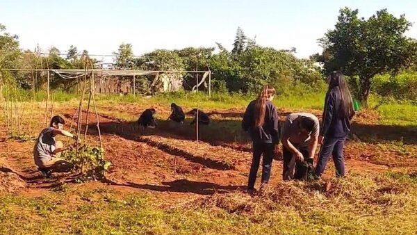 Alumnos dan clases bajo árboles, sin agua y usan un solo baño entre 300 personas