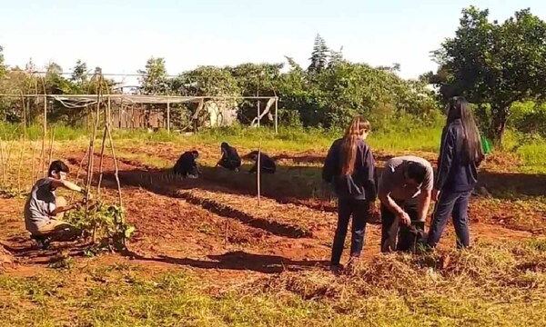 Alumnos dan clases bajo árboles, sin agua y usan un solo baño entre 300 personas en Coronel Oviedo – Prensa 5