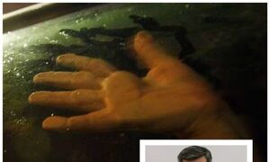 Comandante he’i que analizarán no molestar más a parejitas en acción dentro del auto
