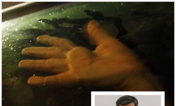 Comandante he’i que analizarán no molestar más a parejitas en acción dentro del auto