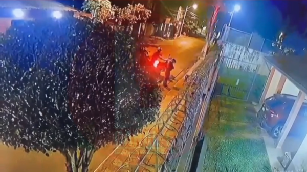 JOVEN HUÍA DE LINCES Y CHOCÓ CONTRA UNA MURALLA