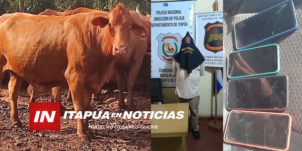 DETIENEN A CUATRO PERSONAS POR UN HECHO DE ABIGEATO EN NATALIO - Itapúa Noticias
