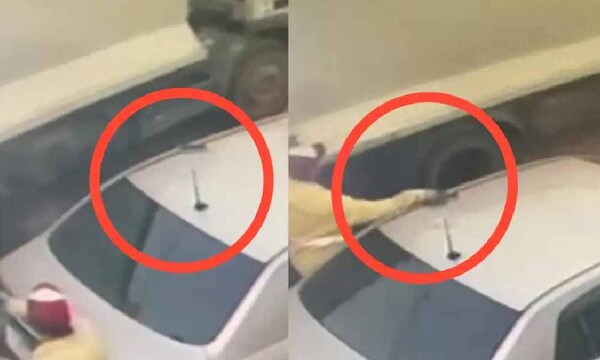 ¡Loable! Halló un celular y lo devolvió – Prensa 5