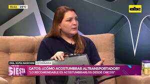 Video: cómo hacer que tu gato se acostumbre al transportador - Ensiestados - ABC Color