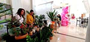 Expo Emprende: destacan participación de la mujer en el rubro - ABC en el Este - ABC Color