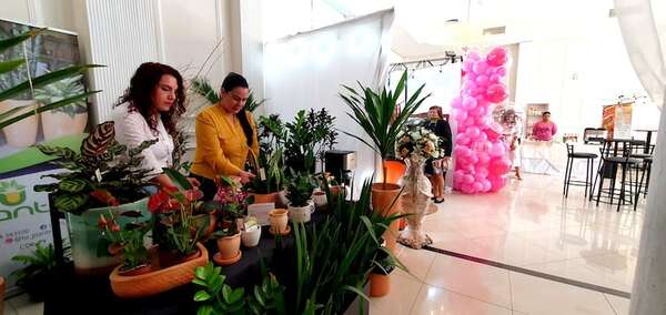 Expo Emprende: destacan participación de la mujer en el rubro - ABC en el Este - ABC Color