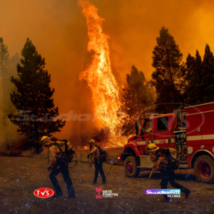 UNOS 52.000 CALIFORNIANOS MURIERON EN UNA DÉCADA A CAUSA DE LA POLUCIÓN POR INCENDIOS. - TVS