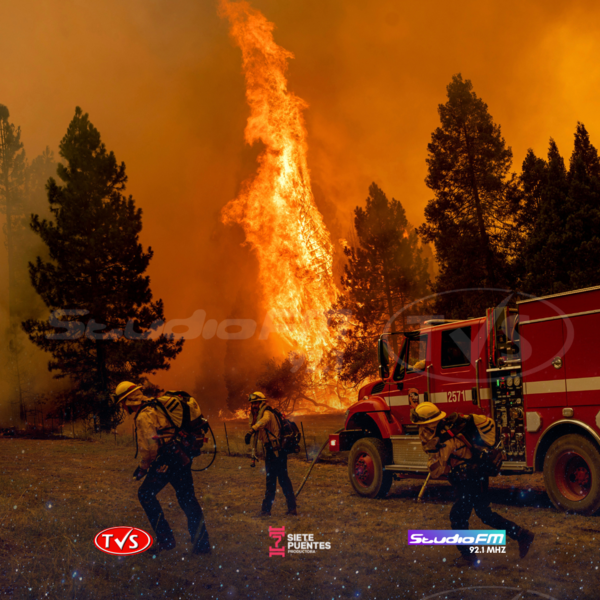 UNOS 52.000 CALIFORNIANOS MURIERON EN UNA DÉCADA A CAUSA DE LA POLUCIÓN POR INCENDIOS. - TVS