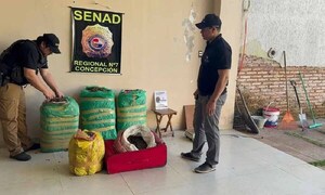 Incautan cocaína, marihuana y crack en operativos en Horqueta y Concepción – Prensa 5