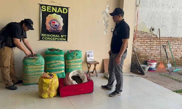 Incautan cocaína, marihuana y crack en operativos en Horqueta y Concepción – Prensa 5