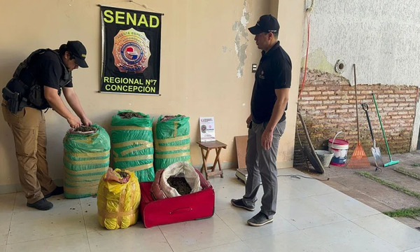 En Horqueta y Concepción incautan cocaína, marihuana y crack en operativos - OviedoPress