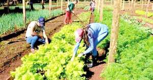 La Nación / Apoyo proactivo e inteligente a la agricultura familiar campesina