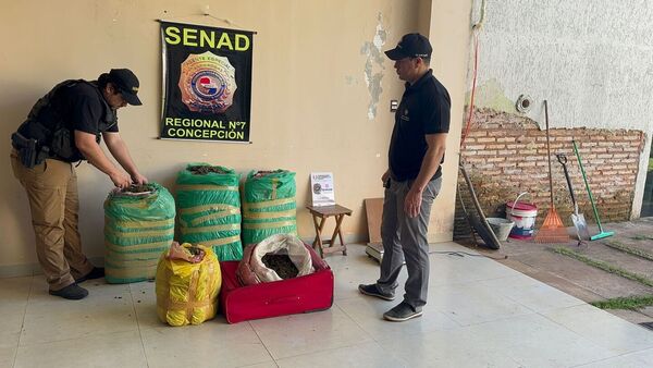 Incautan cocaína, marihuana y crack en operativos en Horqueta y Concepción