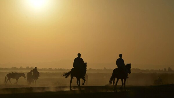 Hace 4.200 años, el caballo doméstico conquistó el mundo desde Asia Central