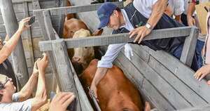 Diario HOY | Prorrogan segundo periodo de vacunación contra la fiebre aftosa y brucelosis bovina