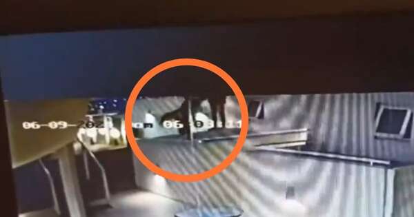 La Nación / Joven falleció tras caer de una terraza en Asunción