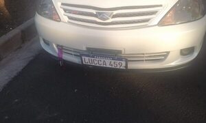 Incautan vehículo con documento falso