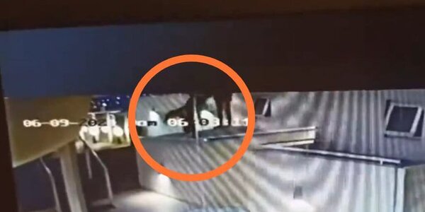 Joven falleció tras caer de una terraza en Asunción