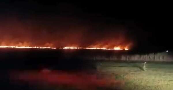 La Nación / Bomberos de cinco compañías lograron controlar incendio forestal en Eusebio Ayala