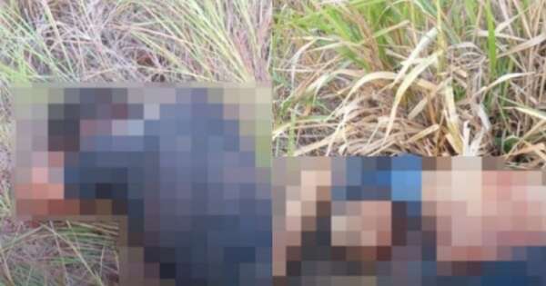 La Nación / Reportan hallazgo de dos cadáveres en Bella Vista Norte