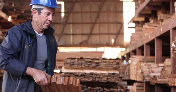La Nación / Exportaciones forestales ingresaron USD 7,5 millones en abril