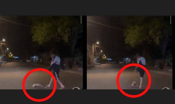 [VIDEO] Escrachan a arriero por agredir a un mykure que cruzaba la calle