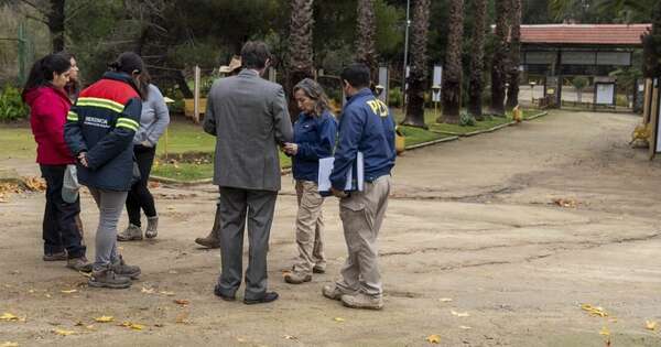 Diario HOY | Ataque de perros “salvajes” deja 23 animales muertos en zoológico de Chile