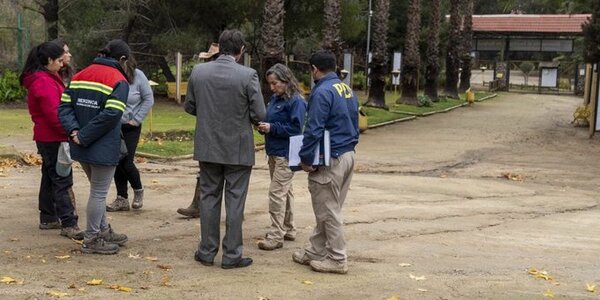 Ataque de perros “salvajes” deja 23 animales muertos en zoológico de Chile