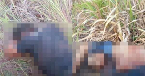 La Nación / Reportan hallazgo de dos cadáveres