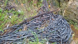 La evasión por el tráfico de cobre rondaría USD 20 millones al año