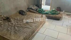 Rescatan a nueve paraguayos esclavizados en una plantación de mandioca en Paraná, Brasil – Diario TNPRESS